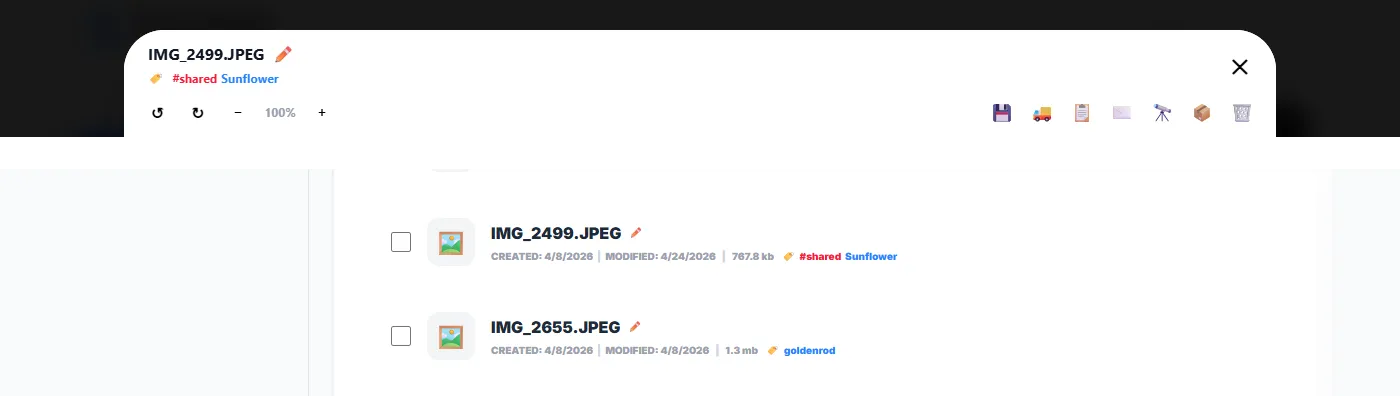 A file list row and a previewer header, both showing the red #shared tag next to the file’s other tags.